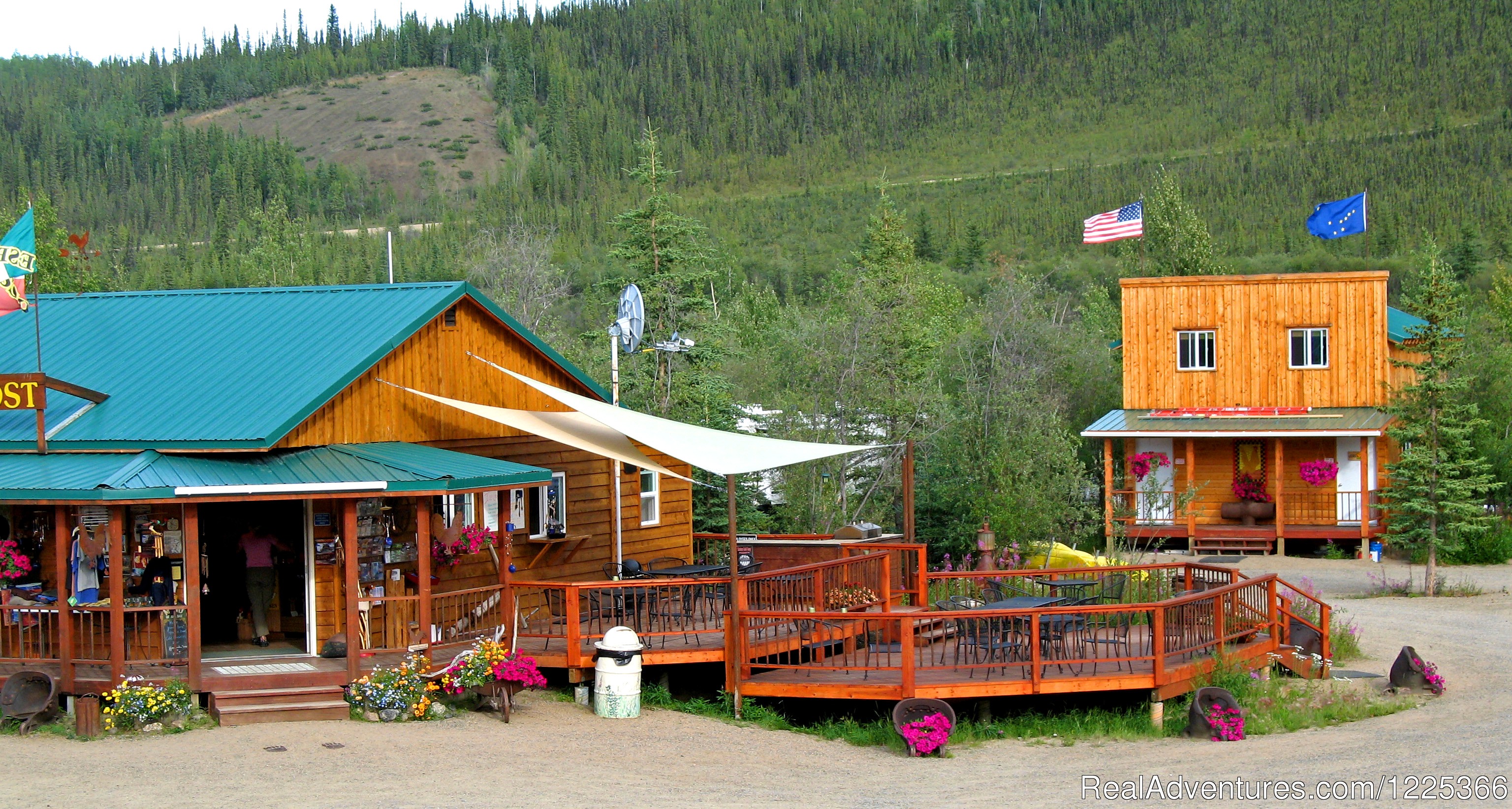 Chicken Gold: Where Adventure Meets Rustic Charm