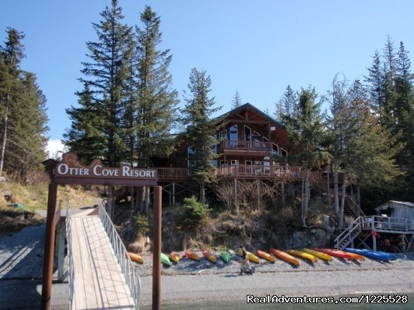 Otter Cove Resort | Experience Alaska with Homer Ocean Charters | Image #5/8 | 