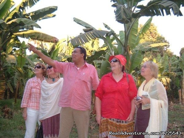 Banana island tour | Egypt Quality Holidays | Image #4/4 | 