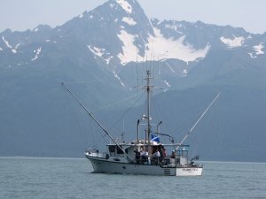Largest 6 passenger vessel in the fleet | Seward, Alaska | Fishing Trips