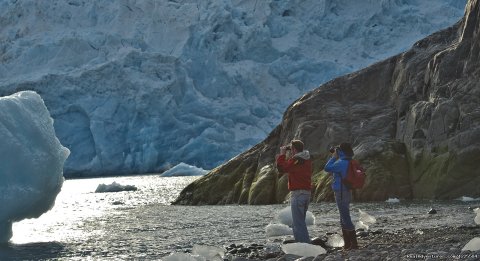 Prince William Sound Tidewater Glacier
