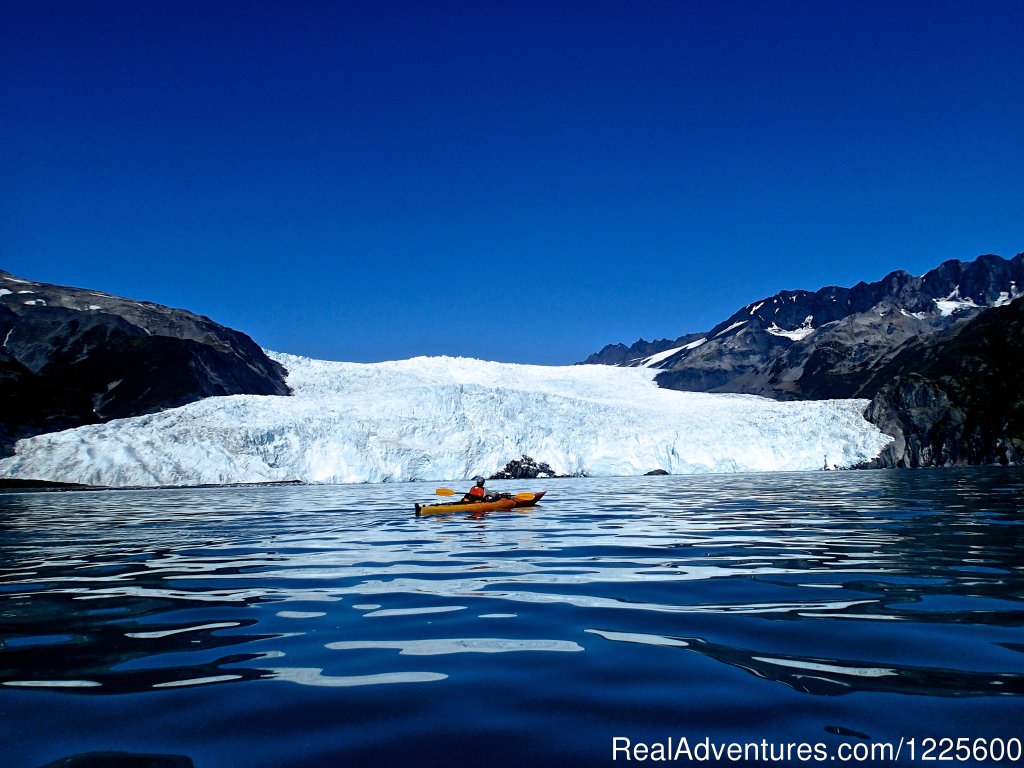Aialik Glacier | Kayak Adventures Worldwide in Seward, Alaska | Seward, Alaska  | Kayaking & Canoeing | Image #1/13 | 