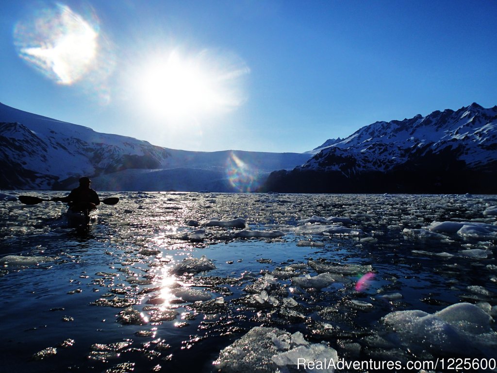 Paddling through glacial ice | Kayak Adventures Worldwide in Seward, Alaska | Image #5/13 | 