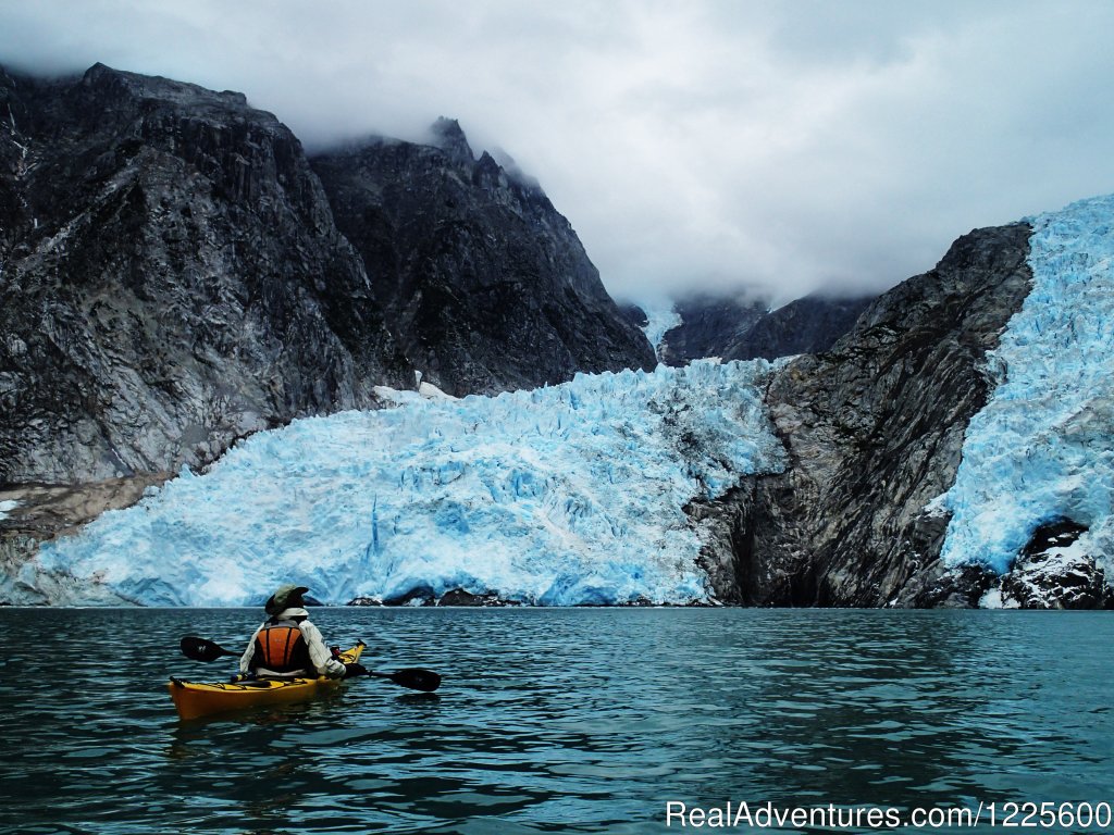 Northwestern Glacier | Kayak Adventures Worldwide in Seward, Alaska | Image #9/13 | 