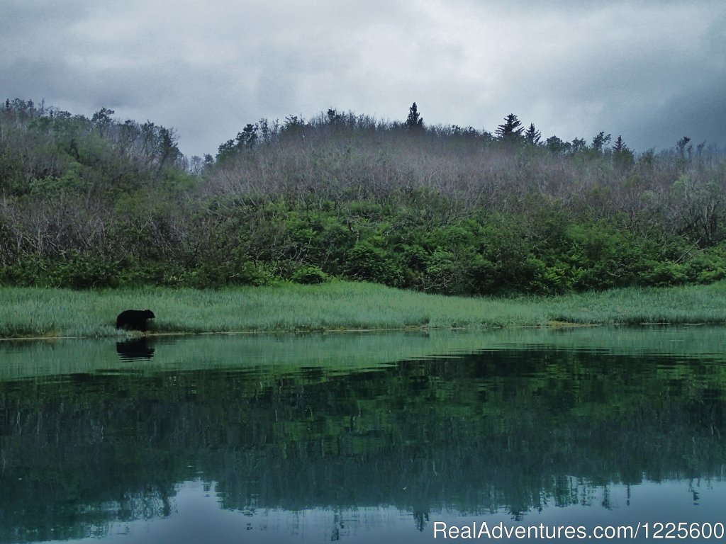 Reflection in Pederson Lagoon | Kayak Adventures Worldwide in Seward, Alaska | Image #10/13 | 