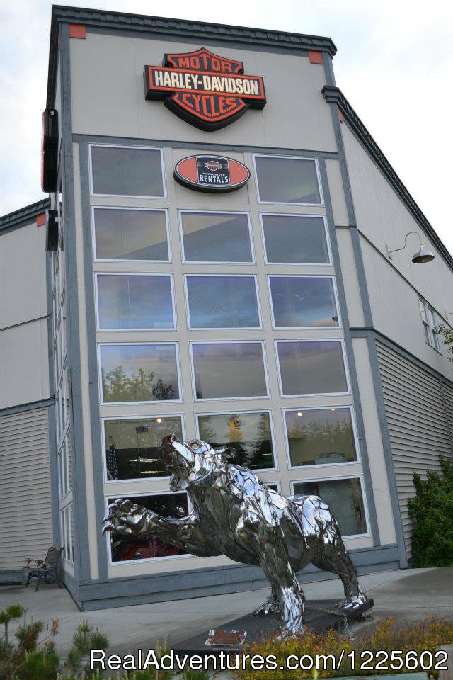 Our Chrome Bear | House of Harley-Davidson | Anchorage, Alaska  | Motorcycle Rentals | Image #1/1 | 