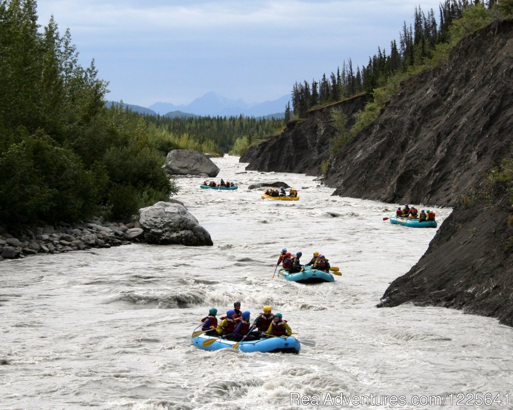 Rafting - Scenic Floats or Whitewater Thrills | Alaska Small Group Guided Wildlife & Glacier Tours | Image #6/9 | 