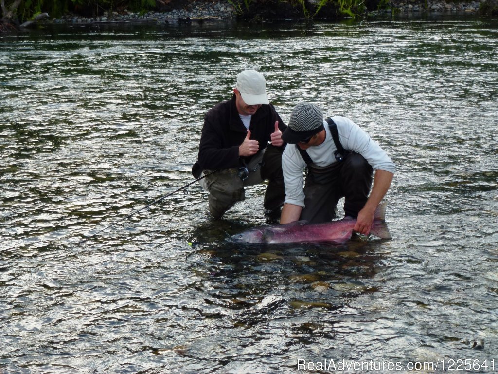 Beautiful King Salmon or Copper River Reds | Alaska Small Group Guided Wildlife & Glacier Tours | Image #8/9 | 