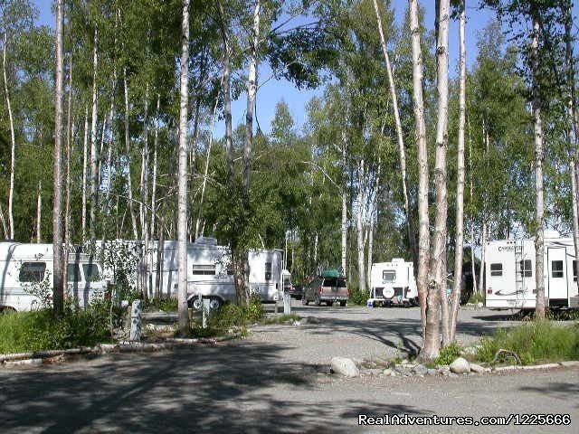 Long pull thru sites | Come stay with us at Talkeetna Camper Park | Image #3/4 | 