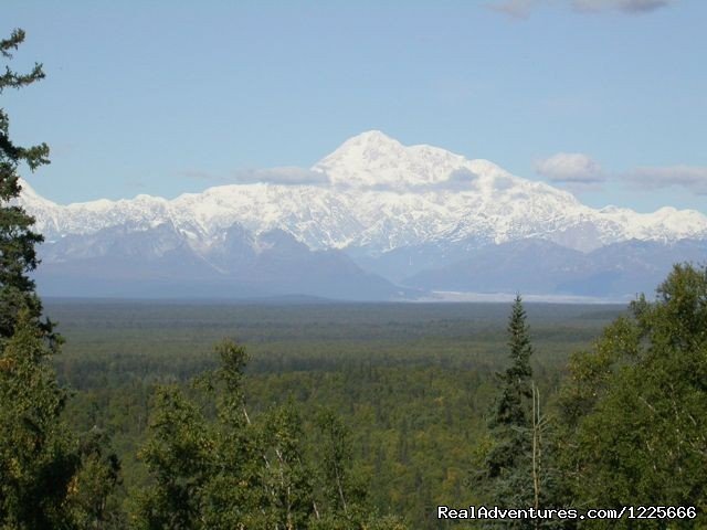 Mt. McKinley | Come stay with us at Talkeetna Camper Park | Image #4/4 | 