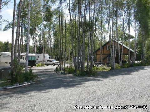 Come stay with us at Talkeetna Camper Park Photo