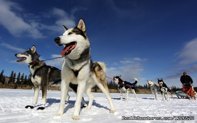 Muktuk Adventures Photo