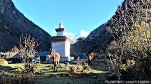 Bhutan Beautiful Tour