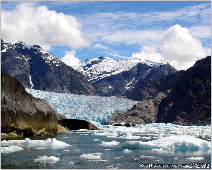 LeConte Bay and Glacier | Wilderness Adventure Tours in Wrangell, Alaska | Image #6/14 | 