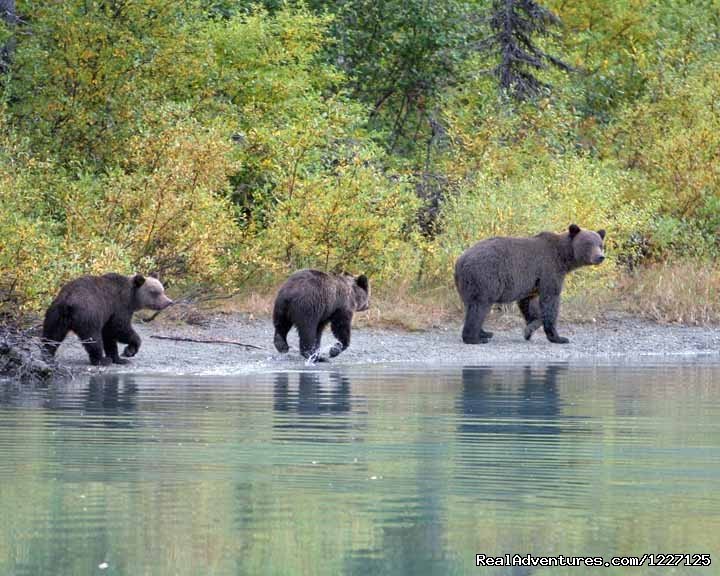 The Three Bears | High Adventure Air Charter | Soldotna, Alaska  | Scenic Flights | Image #1/15 | 