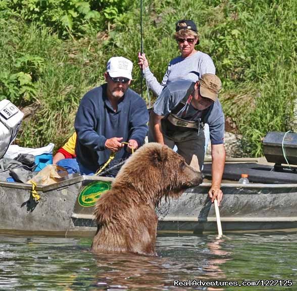 Bears and Fishing | High Adventure Air Charter | Image #10/15 | 