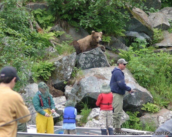 Guided Fishing & Bear Viewing | High Adventure Air Charter | Image #15/15 | 
