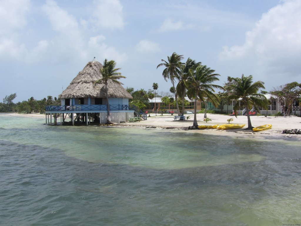 The High Tide Bar | World Class Diving & Snorkeling on private island | Image #3/6 | 
