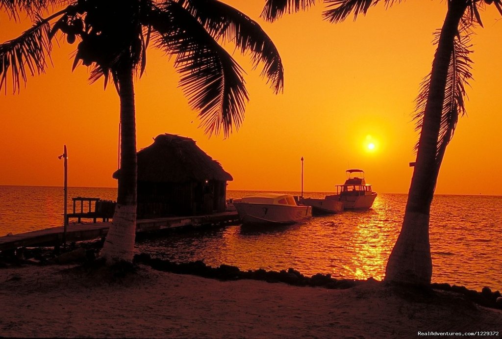 Dock at Sunrise | World Class Diving & Snorkeling on private island | Image #5/6 | 