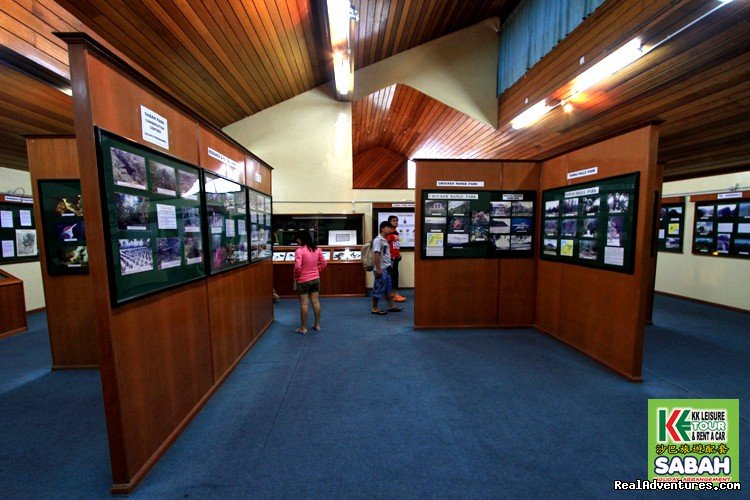 Kinabalu Park Gallery | 5d/4n Sabah Below The Wind Esplanade Packages | Image #10/23 | 