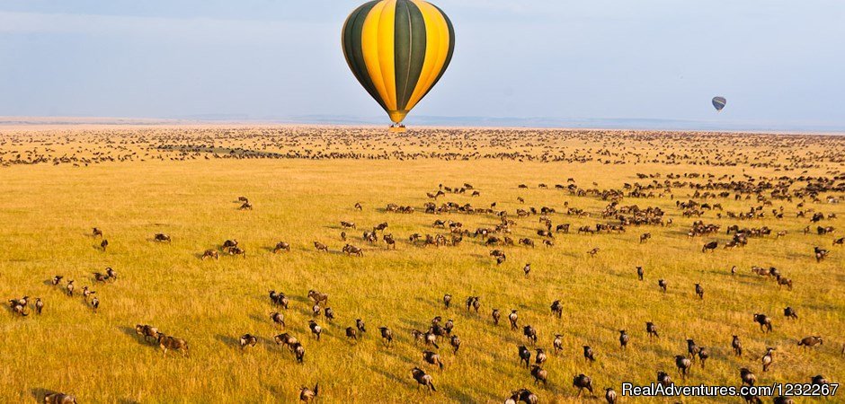 Amboseli National Park | 4 Days Masai Mara  And Amboseli National Park | Image #16/26 | 