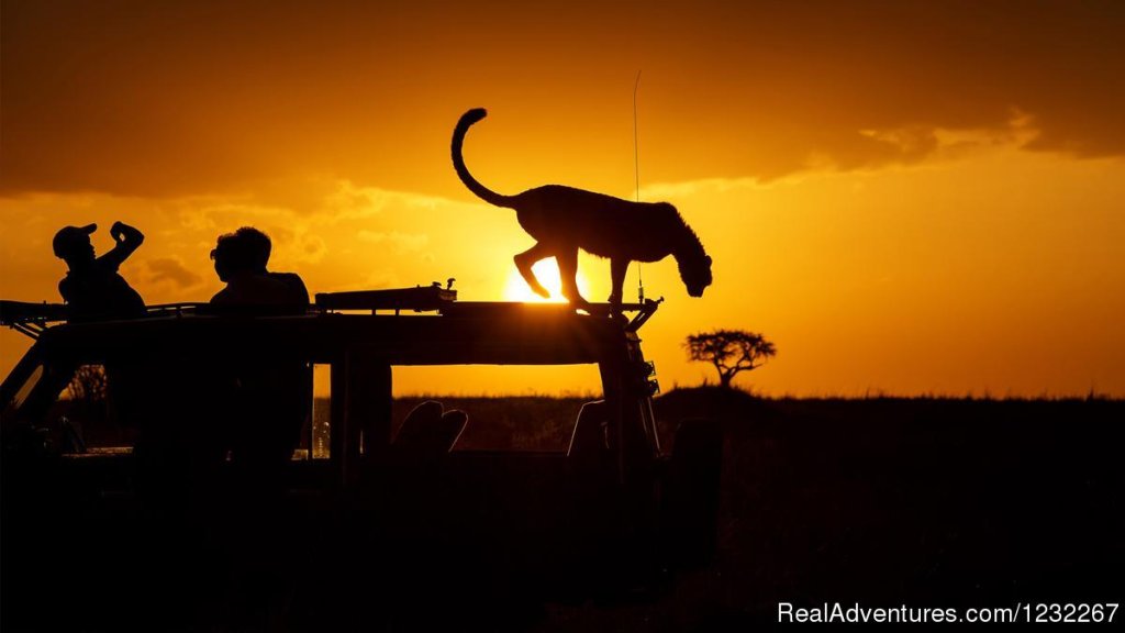 4 Days Masai Mara  And Amboseli National Park | Image #26/26 | 