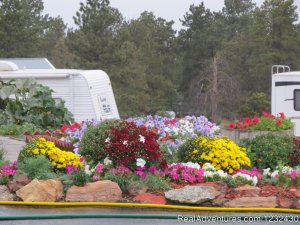 Empire Guesthouse and RV Park | Pine Haven, Wyoming | Campgrounds & RV Parks