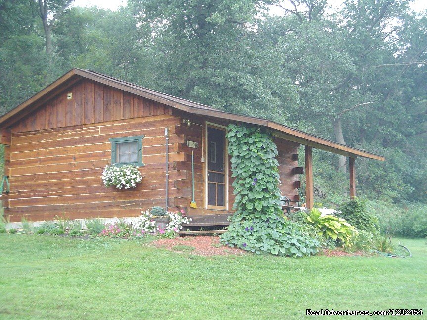 Grapevine Log Cabins B&B | Sparta, Wisconsin  | Bed & Breakfasts | Image #1/14 | 