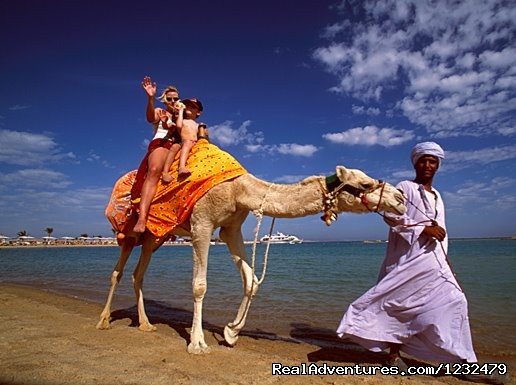 Red Sea - Ride camel on Beach | Egypt Best Travel Deals | Image #19/25 | 
