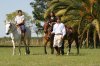 Argentina - horseback rides with real gauchos | Esquina, Argentina