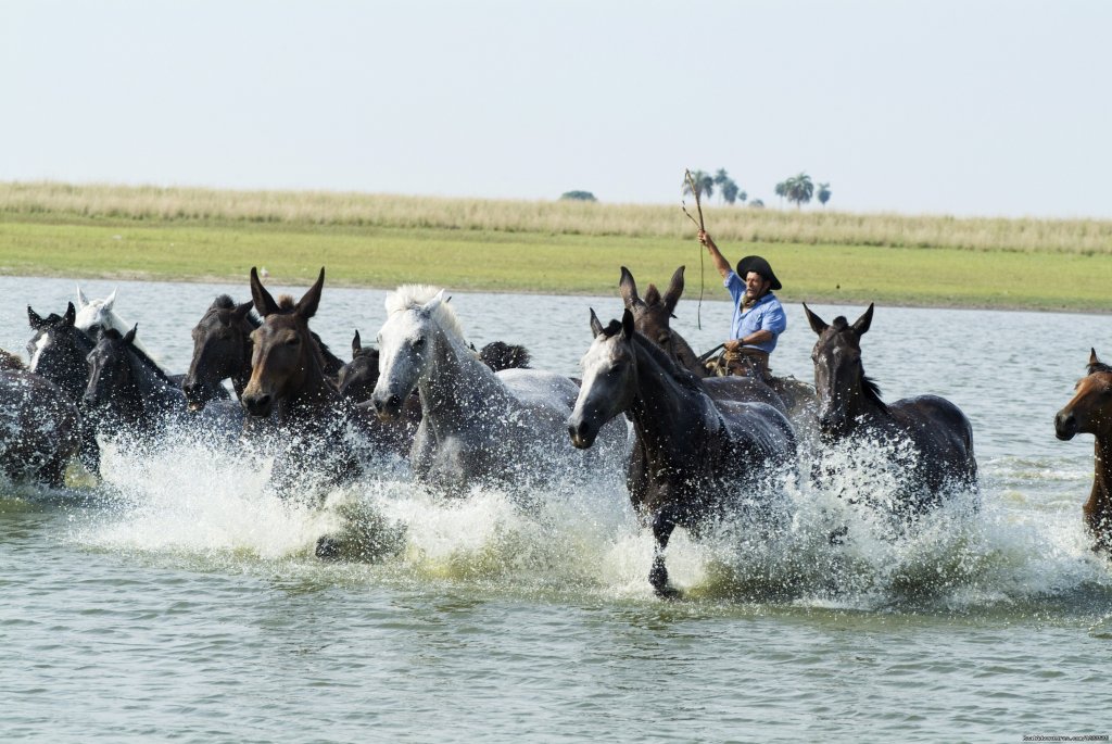 Argentina - horseback rides with real gauchos | Image #6/8 | 