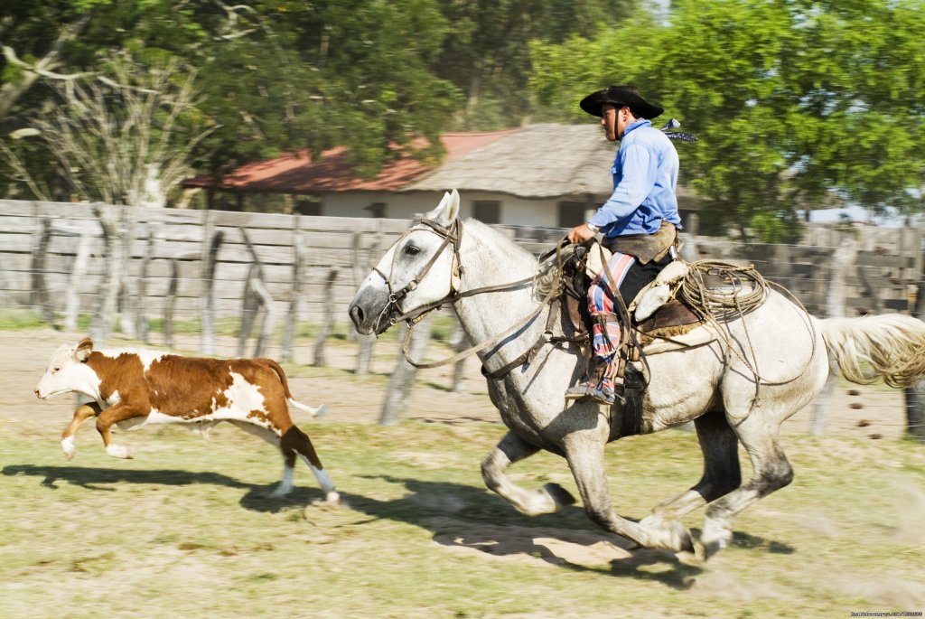 Argentina - horseback rides with real gauchos | Image #8/8 | 