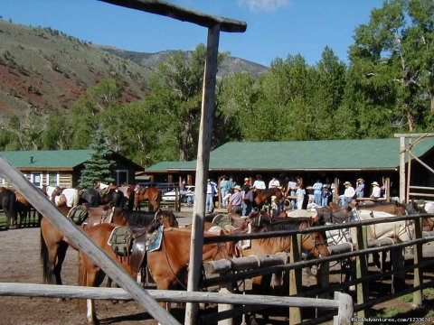 CM Ranch guests at the corral