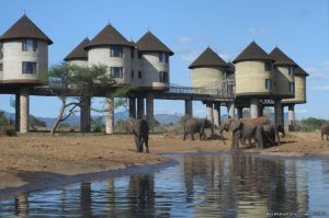 Two Days Tsavo East & Salt Lick Safari | mombasa, Kenya | Wildlife & Safari Tours