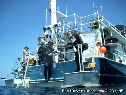 Liveaboard Scuba Diving Charter Photo