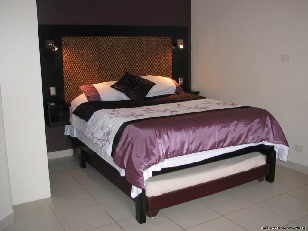Purple Resort Room | Las Brisas Resort and Vacation Villas | Image #6/17 | 