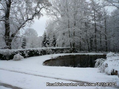 Winter in the gardens | Peaceful Secluded Getaway at L Etang du Wayot | Image #14/20 | 