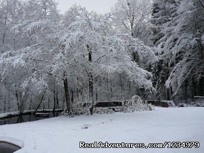 Winter in the gardens | Peaceful Secluded Getaway at L Etang du Wayot | Image #13/20 | 