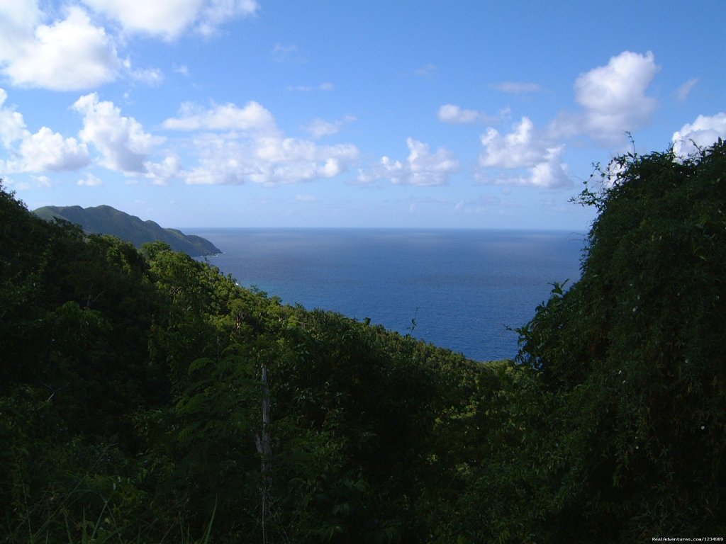 St. Croix | Ocean's Edge - Great Oceanfront Views, 2 Levels | Image #20/26 | 