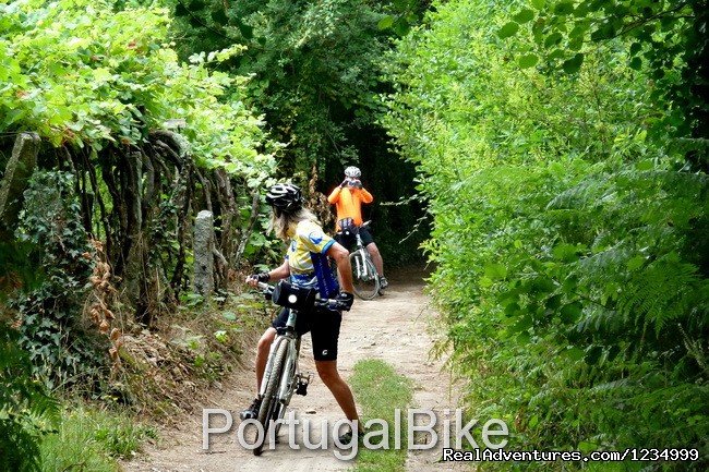 Portugal Bike - The Charming Pousadas in the North | Image #6/26 | 