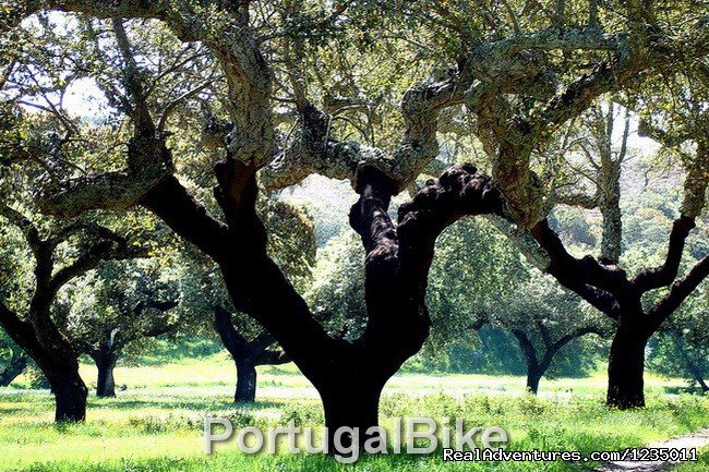 Portugal Bike - The Ancient Medieval Villages | Image #15/26 | 