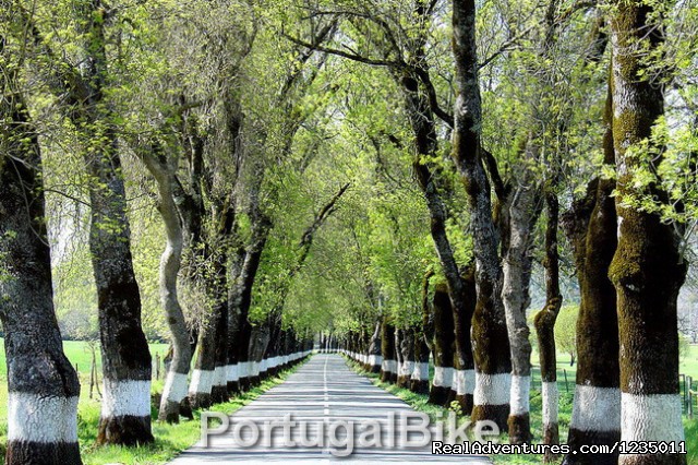 Portugal Bike - The Ancient Medieval Villages Photo