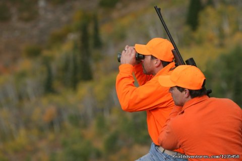 Guided Hunting in Colorado