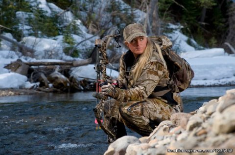 Colorado Bow Hunting