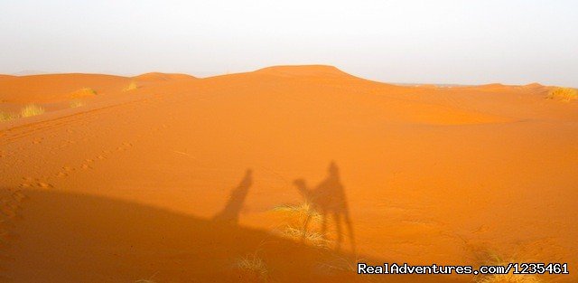 Camel rides in the desert | Real Morocco Tours | Image #3/21 | 