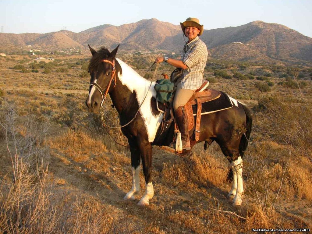Dinner trail rides to a great Mexican Resturant | Image #3/11 | 