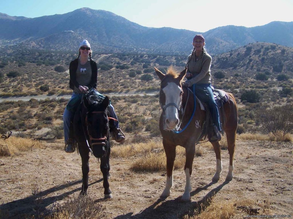Dinner trail rides to a great Mexican Resturant | Image #7/11 | 