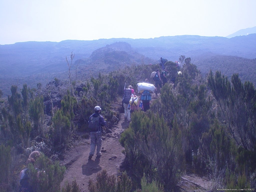 Climbing mount kilimanjaro trip | Climbing kilimanjaro tours, trekking in Tanzania | Image #3/7 | 