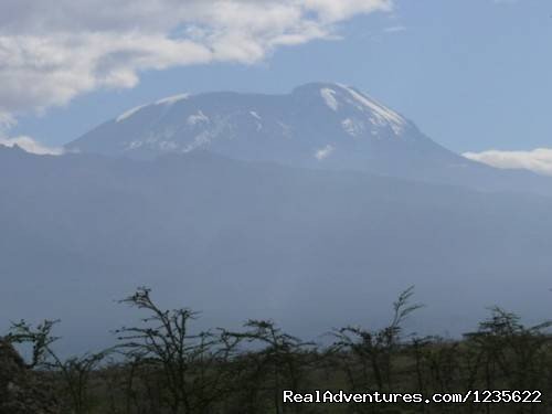 Nature trekking kilimanjaro | Climbing kilimanjaro tours, trekking in Tanzania | Image #4/7 | 