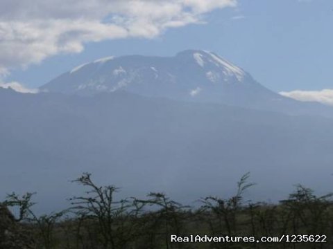 Nature trekking kilimanjaro